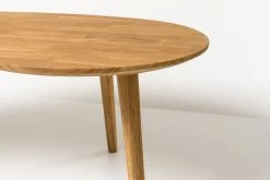 Sohvapöytä Dama 120x60 Cm -Kodin Sisustus Verkoop 9282k