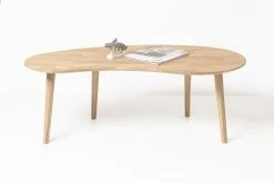 Sohvapöytä Dama 120x60 Cm -Kodin Sisustus Verkoop 9282whiteb