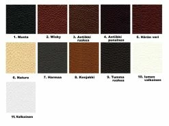 Boston Nahkasohva, 2-istuttava -Kodin Sisustus Verkoop adon nahat22