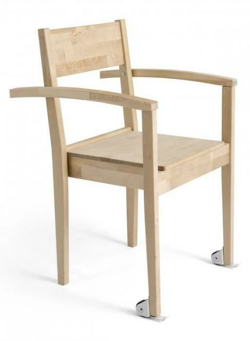 Joki-tuoli Käsinojilla Ja Pyörillä, Työntökahvat 4 Joki-tuoli Käsinojilla Ja Pyörillä, Työntökahvat - Image 2